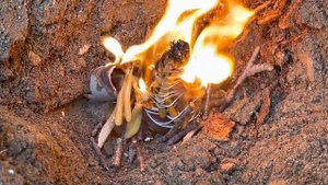 Сжечь все преграды жизни, Открыть дороги - Чистка Онлайн