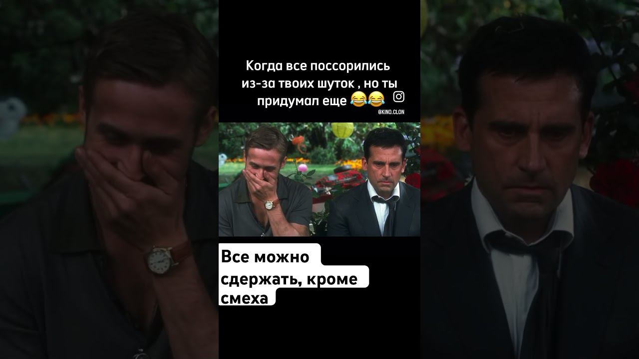 юмор котики