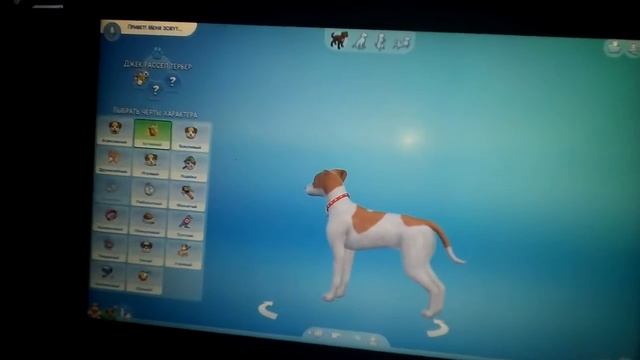 Создаём в Симс 4 кошки и собаки джынку пружынку смотреть онлайн