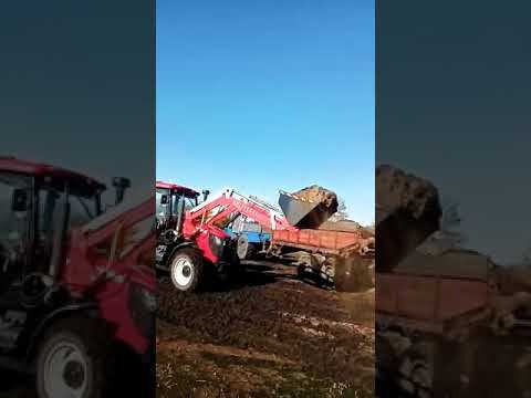 Работа трактора YTO 904 с погрузчиком смотреть онлайн