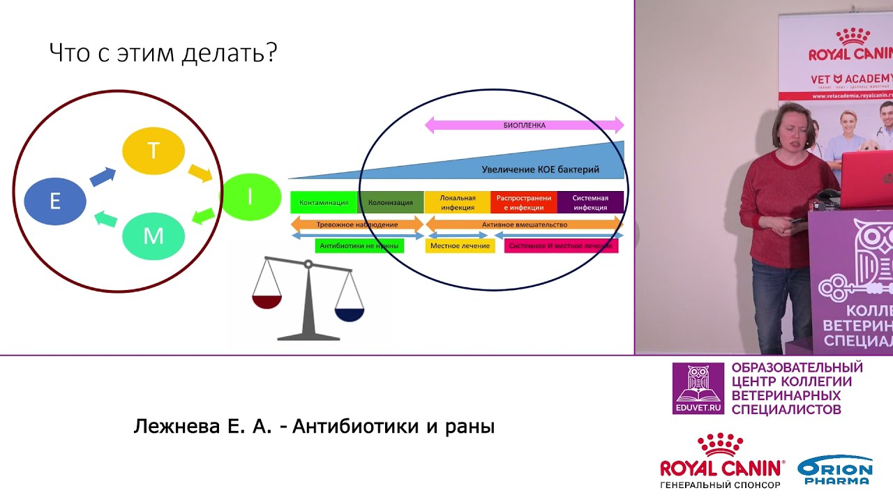 Центр доктора пешкичева