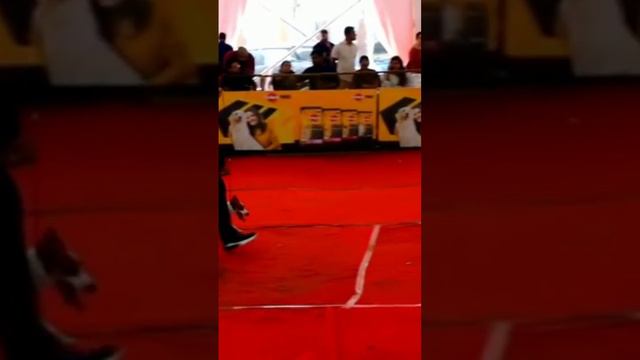 RAGO'S KENNEL Winning images of BART THE CANINE CLUB OF COCHIN got 3 BOB andGROUP SECOND #jrt смотреть онлайн