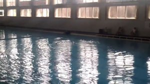 Ростов-на-дону,Алина Мантуленко 1-место