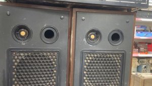 Акустика 10АС-409