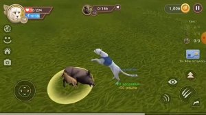 Как добывать еду для детеныша гепарда в WildCraft