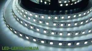 Светодиодная лента SMD 2835 120 LED/m IP20 Белый Standart
