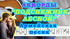 Шли по лесу парень с девчонкой Подснежник лесной  Аккорды ? Армейская песня Разбор песни на гитаре