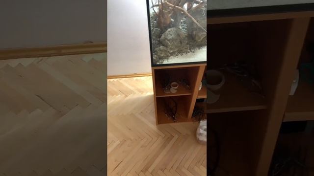 Декоративное кольцо для мебели? смотреть онлайн