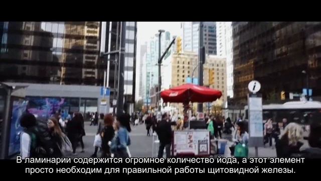 4 продукта для правильной работы щитовидной железы смотреть онлайн