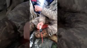 зимняя рыбалка озеро Мирное , #Томская областная.