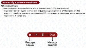 Регуляция дыхания ФИЗИОЛОГИЯ  дыхательные центры, нервная регуляция дыхания, физиология вдоха выдох