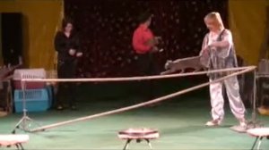 Дрессированные животные (Цирк Олега Плахтеева)