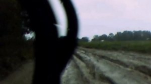 РАВ 4 по бездорожью