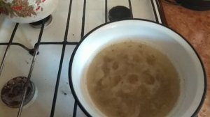 Мицелий Вешенка Агар