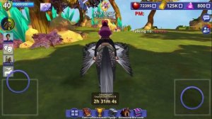 ОБНОВЛЕНИЕ! НЕБЕСНЫЕ ОСТРОВА, ежедневное задание и новая лошадь ? Horse Riding Tales