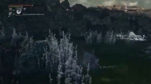 Bloodborne™ Короткий путь к боссу Амигдала