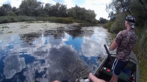 Рыбалка на попла-поппер