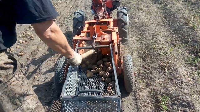 Ящик для картошки смотреть онлайн