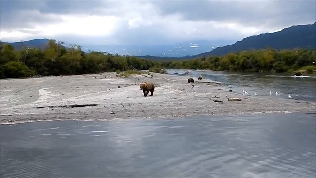 Видеоролик Камчатка