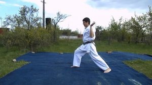 Изучаем ката, ч. 15, Ката Сайха.
