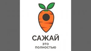 22. Как выбрать вариегатную монстеру - Альбу или Тайское созвездие