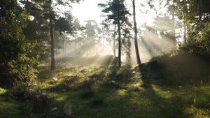 Очень красивый нашид ЕСТЬ ЛИ У ТЕБЯ СЕКРЕТ С АЛЛАХОМ. Красивая природа. Нашид успокаивающий.