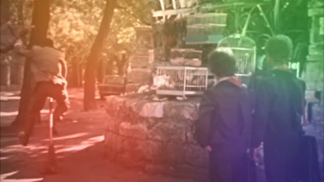 Петров и Васечкин -- Невероятно, но факт