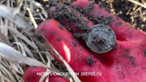 Отзыв металлоискатель Z 150.