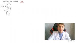 Строение синапса | Нервный синапс ⚡