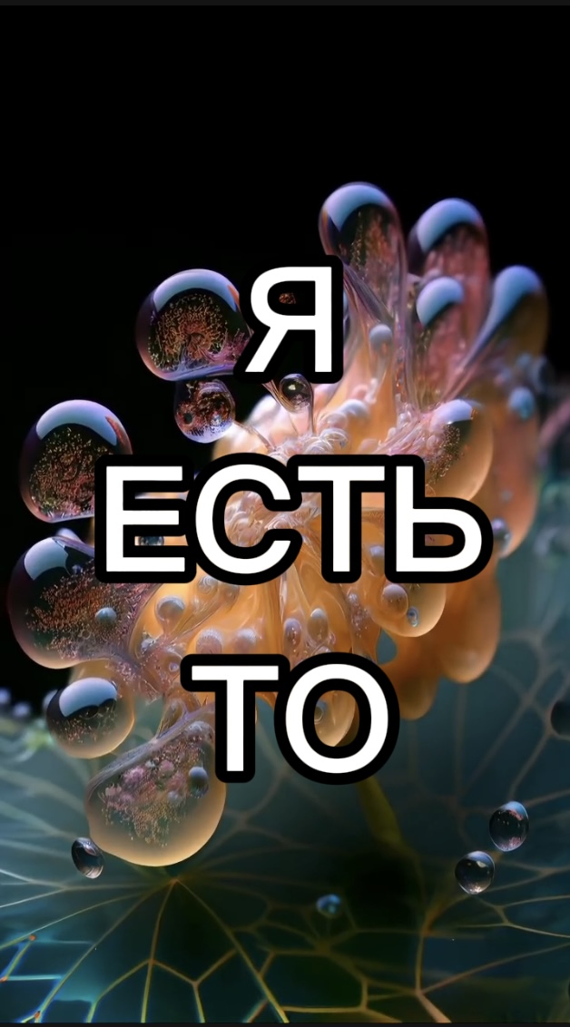 Я ЕСТЬ ТО