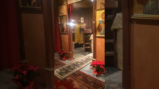 РПЦЗ 171222 м.Агапия Polyleos & Magnification смотреть онлайн