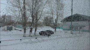 Алтай из окна поезда. Рубцовск- Барнаул