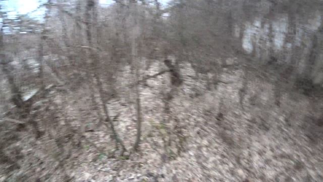 Супер НАХОДКА!!!! КРЫША ИЗ КАМЫША!!! смотреть онлайн