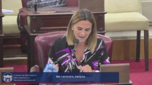 INTERVENCION DIPUTADA GRANATA AMALIA - SESIÓN ORDINARIA Nº14 - PERIODO 138 - 19/11/2020