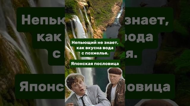 Похмелье и вода. Пословицы и мысли
