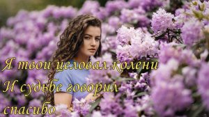 Одинокая ветка сирени Песни Валерия Залкина