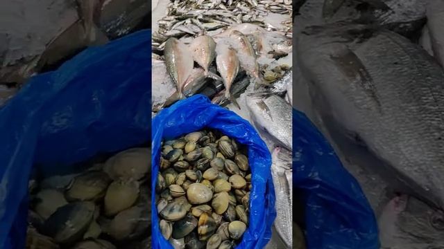 Dubai Fish Market | Waterfront Market |See food market| Best Sea Food #Dubai #fishmarket #salmonfis