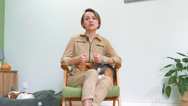 Правила дрессировки. Лакомство. смотреть онлайн