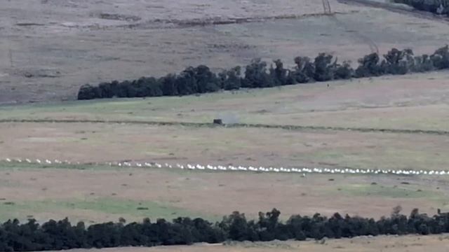 Хохлы смогли пройти все-таки серую зону и добрались до линии Суровикина в Запорожской области...