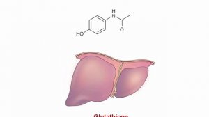 USMLE RX - 8.Анатомия - 4.Фармакология - 1.Ацетаминофен (Парацетамол)