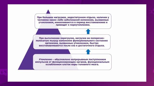 Биология. 7 класс. Работоспособность. Режим дня /09.03.2021/ смотреть онлайн