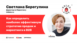 Как определить наиболее эффективную стратегию маркетинга B2B / Светлана Берегулина