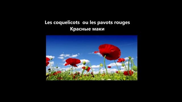 Vocabulaire français. Fleurs de printemps. Французская лексика. Названия весенних цветов.