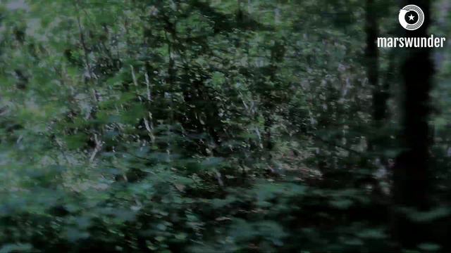 TOD IM WALD - ein Song von marswunder (gebastelt mit GarageBand iOS) смотреть онлайн