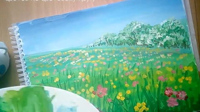 Цветоведение. Прямоугольное （тетраидное）сочетание цвета. Цветущий луг весной.
