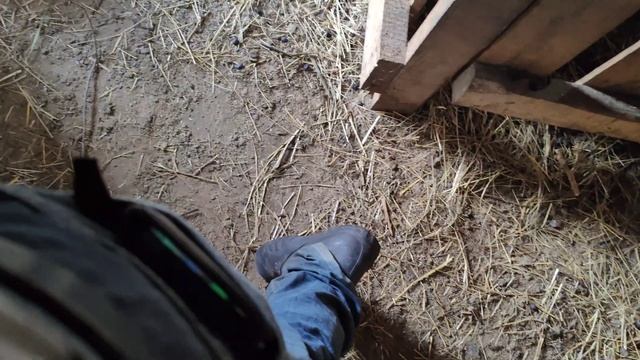 коза с максимальным удоем родила двойню смотреть онлайн