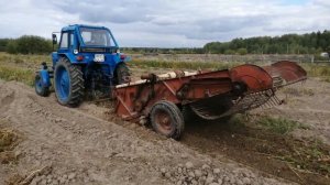 Копаем картофель на МТЗ двухрядной копалкой. Деревенская жизнь.