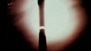 Эффект Джанибекова