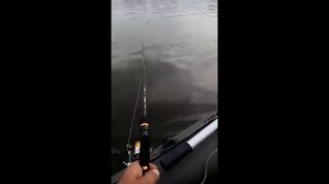 рыбалка на троллинг  с Велоплавом