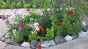 Мой островок